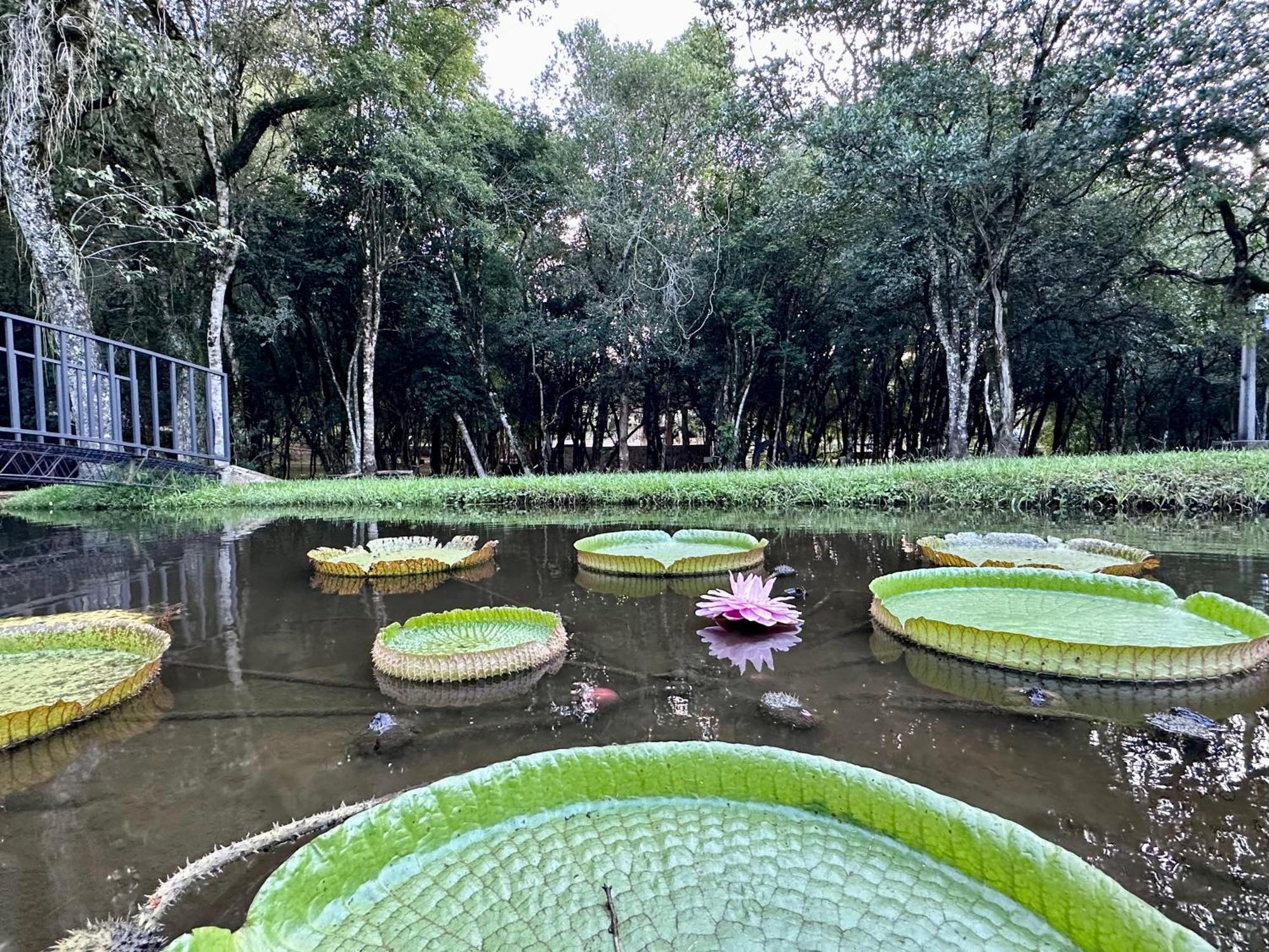 Parque Hotel Manantial Hohenau Extérieur photo